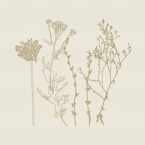 Beige bloemen op zachte crèmetextuur