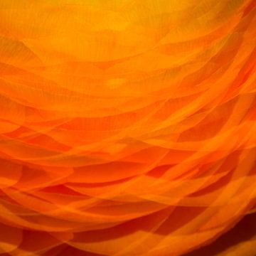 Oranje 1 von Jose Gieskes