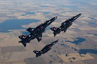 Koninklijke Canadese Luchtmacht CT-155 Hawks van Dirk Jan de Ridder - Ridder Aero Media thumbnail