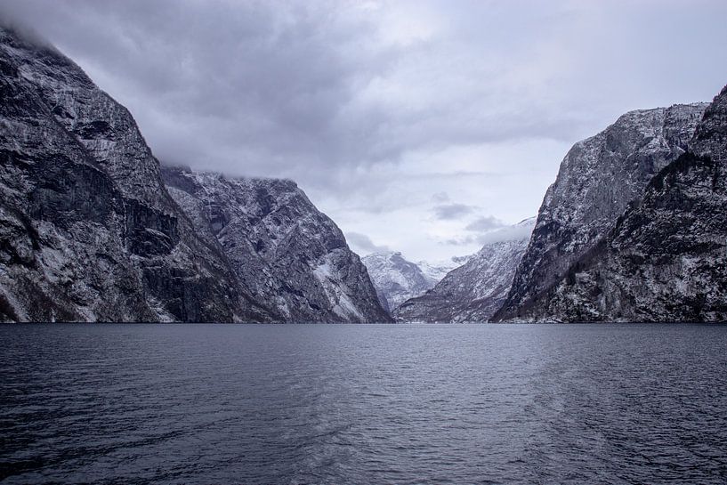 Noorwegen tussen de fjorden van Quin van Saane