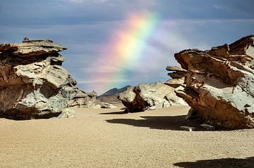 Arc-en-ciel dans le désert sur Alex Neumayer