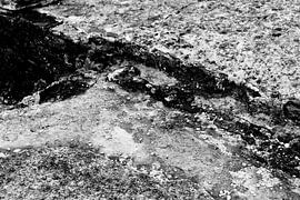 Der Stein von Sidney Graf