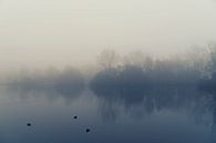 Misty morning van Sandra de Heij thumbnail