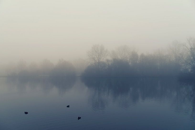 Misty morning van Sandra de Heij