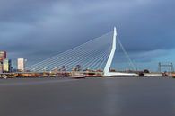 La ligne d'horizon de Rotterdam par Miranda van Hulst Aperçu