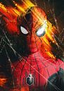 Spiderman van Bert Hooijer thumbnail