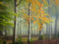 The beginning of autumn