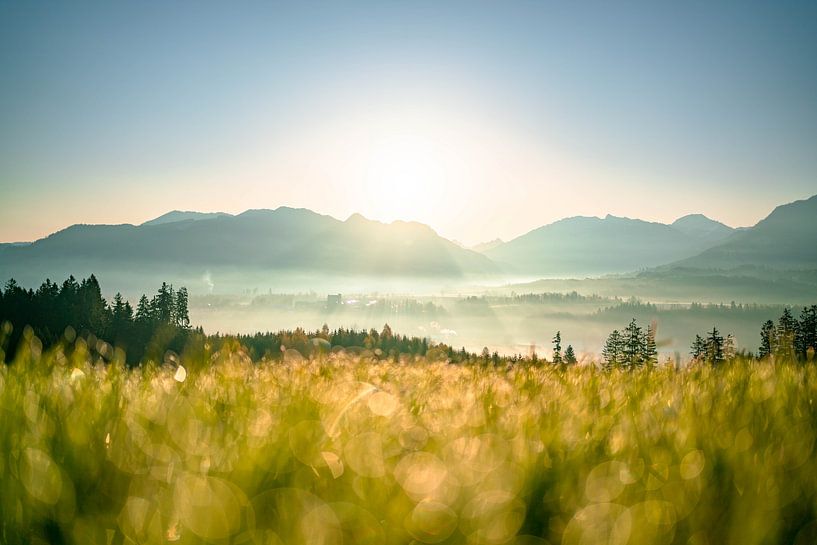 Morning dew and sunrise in the Allgäu region by Leo Schindzielorz