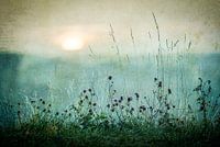 Herfst zonsopgang