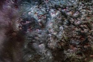 Sphères abstraites colorées | Poussière d'étoiles