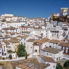 Uitzicht over Setenil de las Bodegas van Reis Genie