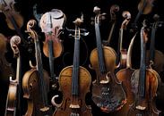 Violina diabolo by Olaf Bruhn thumbnail