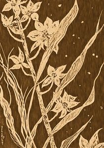 Orchideen (3)