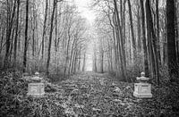 Nieuw-Amelisweerd op een winterse dag in zwartwit