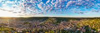 In vogelvlucht over Stuttgart-Mitte en Stuttgart-Süd van Werner Dieterich thumbnail