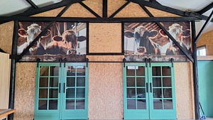 Cows in the barn panorama