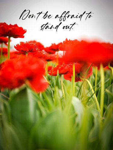 Don´t be affraid to stand out