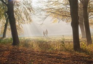 Herbst im Wald  von Marcel van Balken