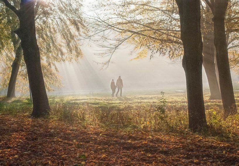 Autumn in the forest  par Marcel van Balken