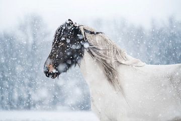 Horse in Winter Silence Serene Portrait in Snow by Femke Ketelaar