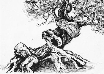 Alter knorriger Baum