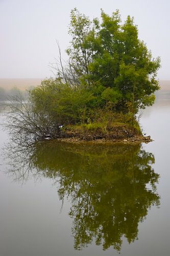 Misty Island