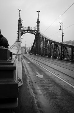 Pont de Budapest (Hongrie) sur Olivier Van Acker