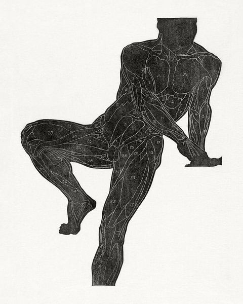 anatomie homme avec des muscles, Reijer Stolk par Atelier Liesjes