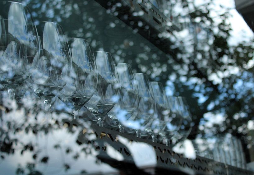 Glas in glas van Ilse Schoneveld