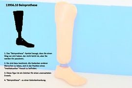 Prosthetic leg 13956.10