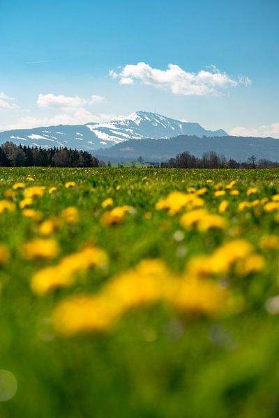 Spring feelings in the Allgäu with snow at the Grünten by Leo Schindzielorz