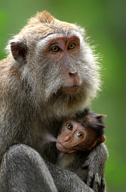 A mum’s moment with a little one by Laimute Kuriene