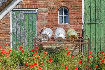old barn with milk cans and poppies