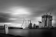 Die Erasmus-Brücke und Die Rotterdam im Bau von Prachtig Rotterdam Miniaturansicht