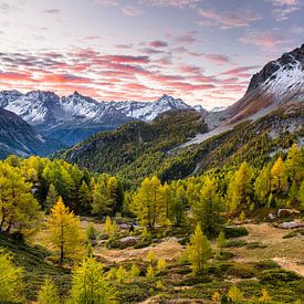 Bernina Pass von Rainer Mirau
