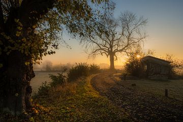 Sunrise Ravenswaaij by Moetwil en van Dijk - Fotografie