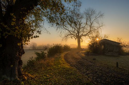 Zonsopkomst bij schuurtje en oude boom Ravenswaaij Gelderland