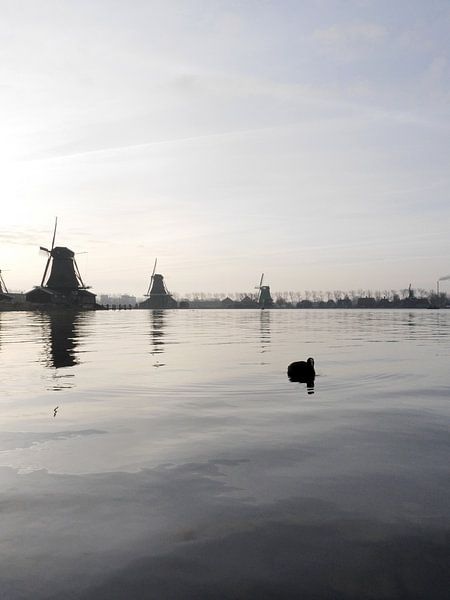 Zaanse Schans en een Meerkoet von willemien kamps