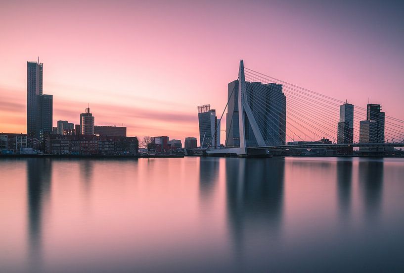 Rosa Morgen in Rotterdam von Ilya Korzelius