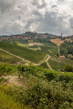 Heuvels van Piemonte met wijngaarden