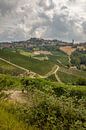 Heuvels van Piemonte met wijngaarden van Joost Adriaanse thumbnail