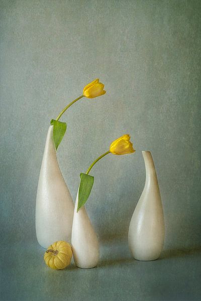 Yellow Tulip and Mini Squash by Lydia Jacobs