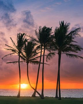 Zonsopkomst bij Kapaa Beach, Kauai, Hawaï van Henk Meijer Photography