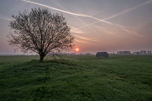 Weiland met boom en schuur bij zonsopkomst 03