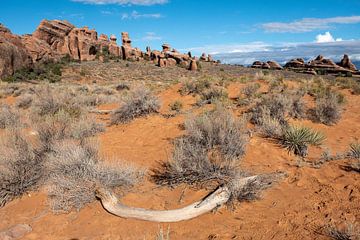 Moab woestijn van John Faber