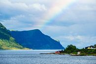 Blick auf die Stadt Alesund in Norwegen von Rico Ködder Miniaturansicht