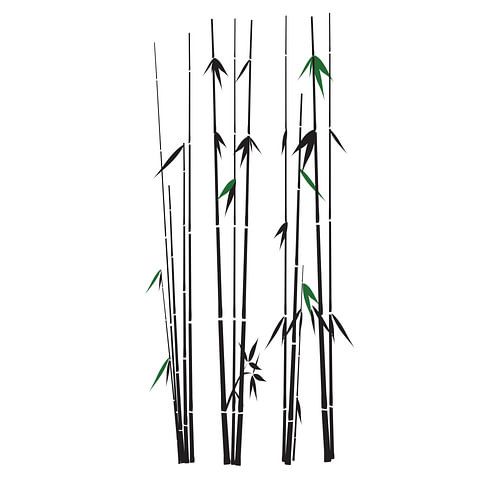 Branches de bambou vertes et noires sur fond blanc