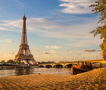 Eiffel Tower and Pont d`Iéna, Paris by Christian Müringer