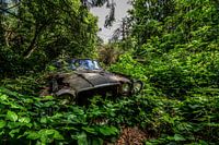 Verlorenes Auto in der Natur