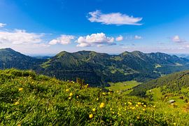 Nagelfluhkette von Walter G. Allgöwer